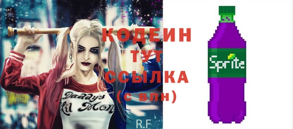 прущий лед Богданович