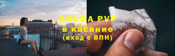 прущий лед Богданович