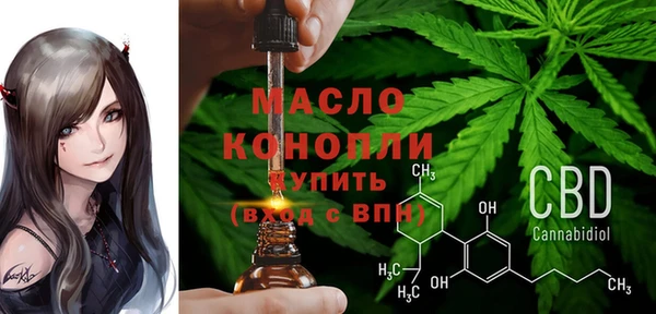 прущий лед Богданович