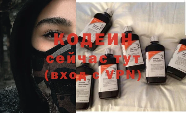 прущий лед Богданович