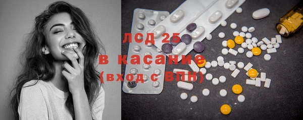 прущий лед Богданович